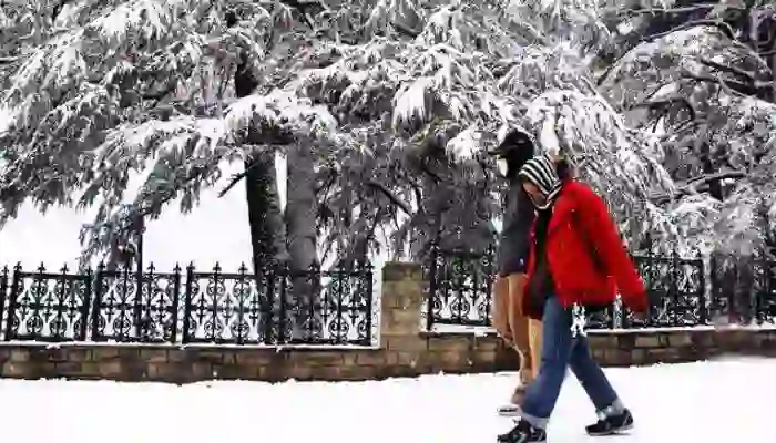 himachal tour packages from delhi by car